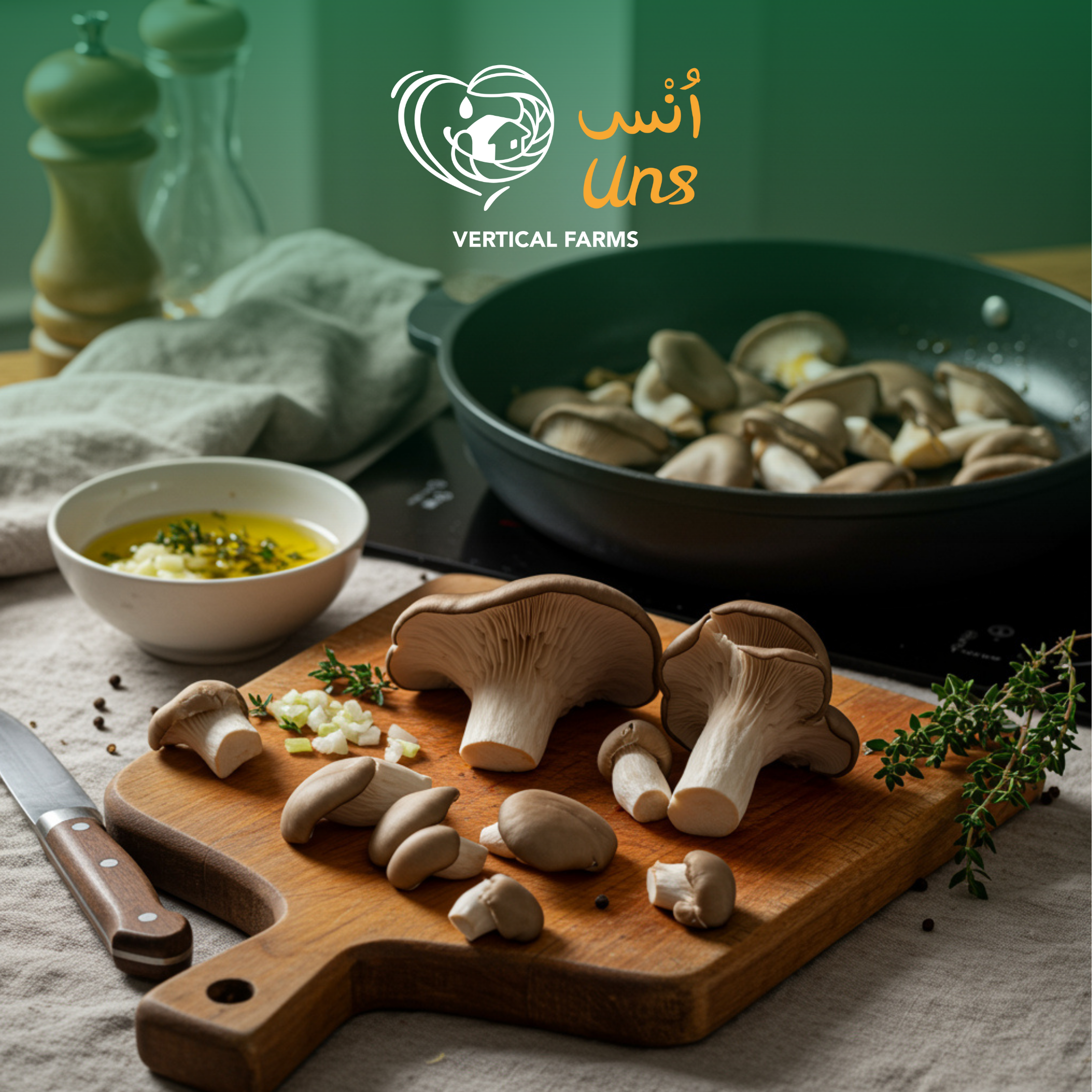 Mushroom Oyster Holland