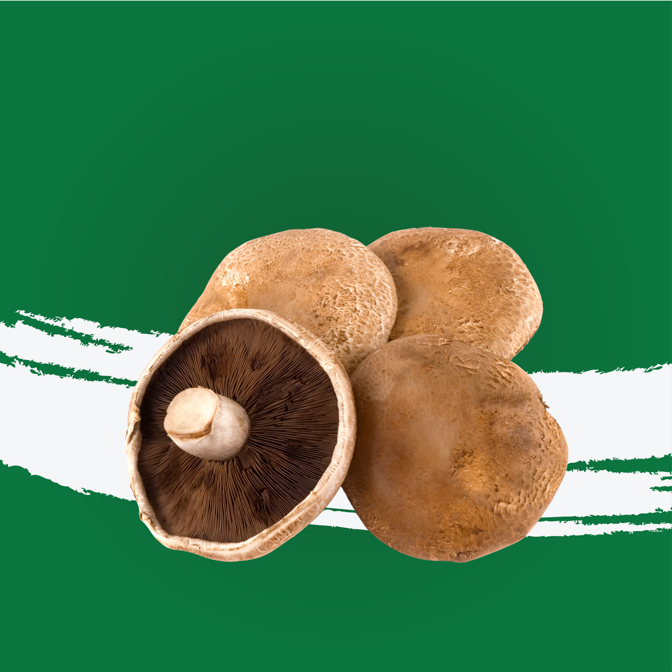 Mushroom Portobello Uae