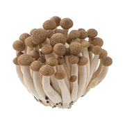 Mushroom Shimeji Brown China