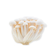 Mushroom Shimeji White China