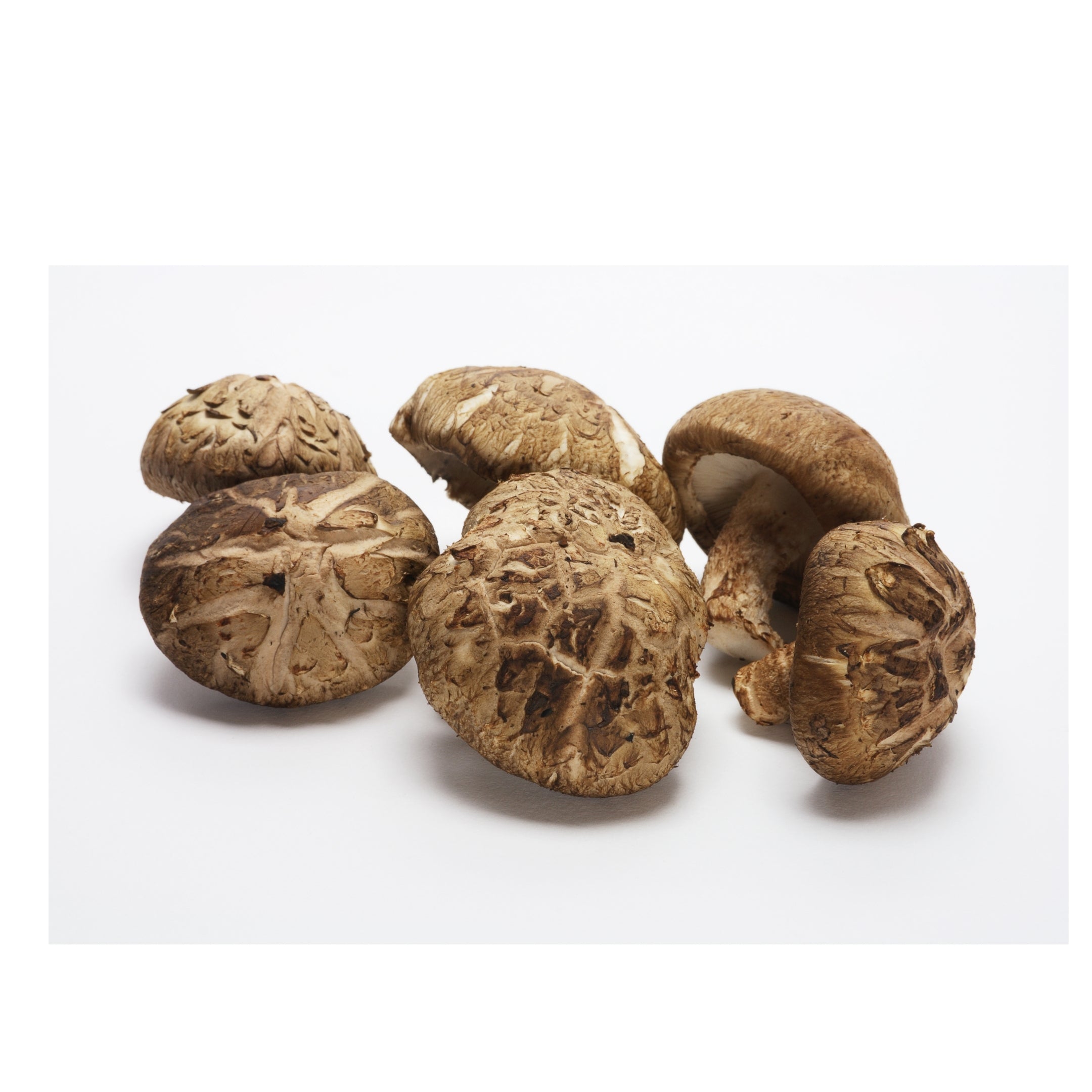 Mushroom Shitake China