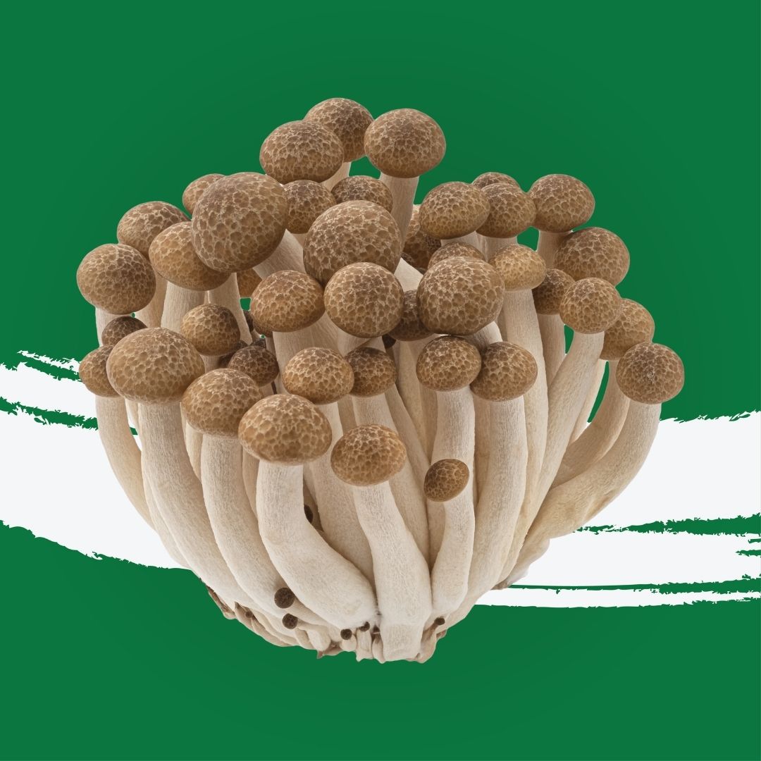 Pesticide-free brown shimeji mushrooms for stir fries