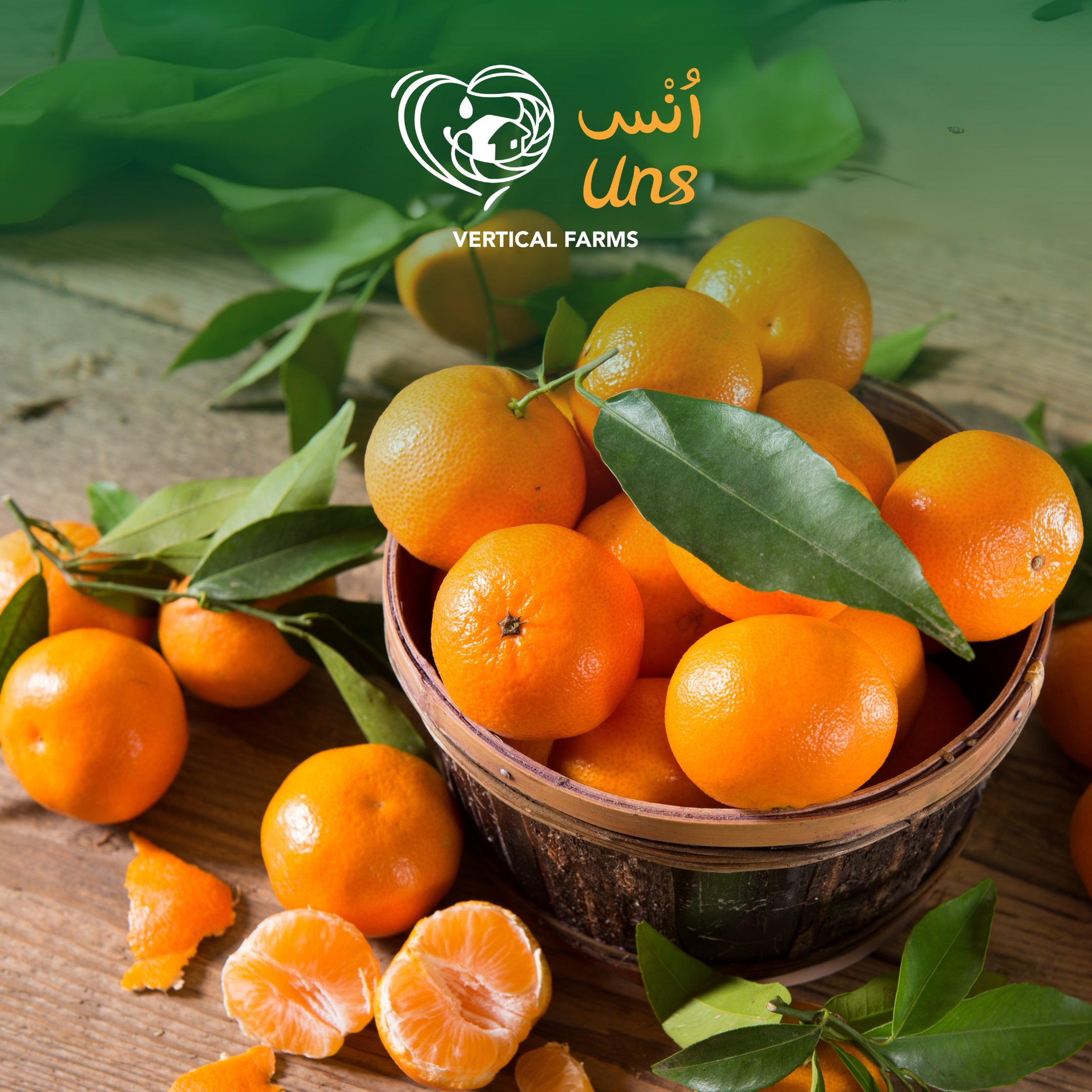Mandarin Egypt