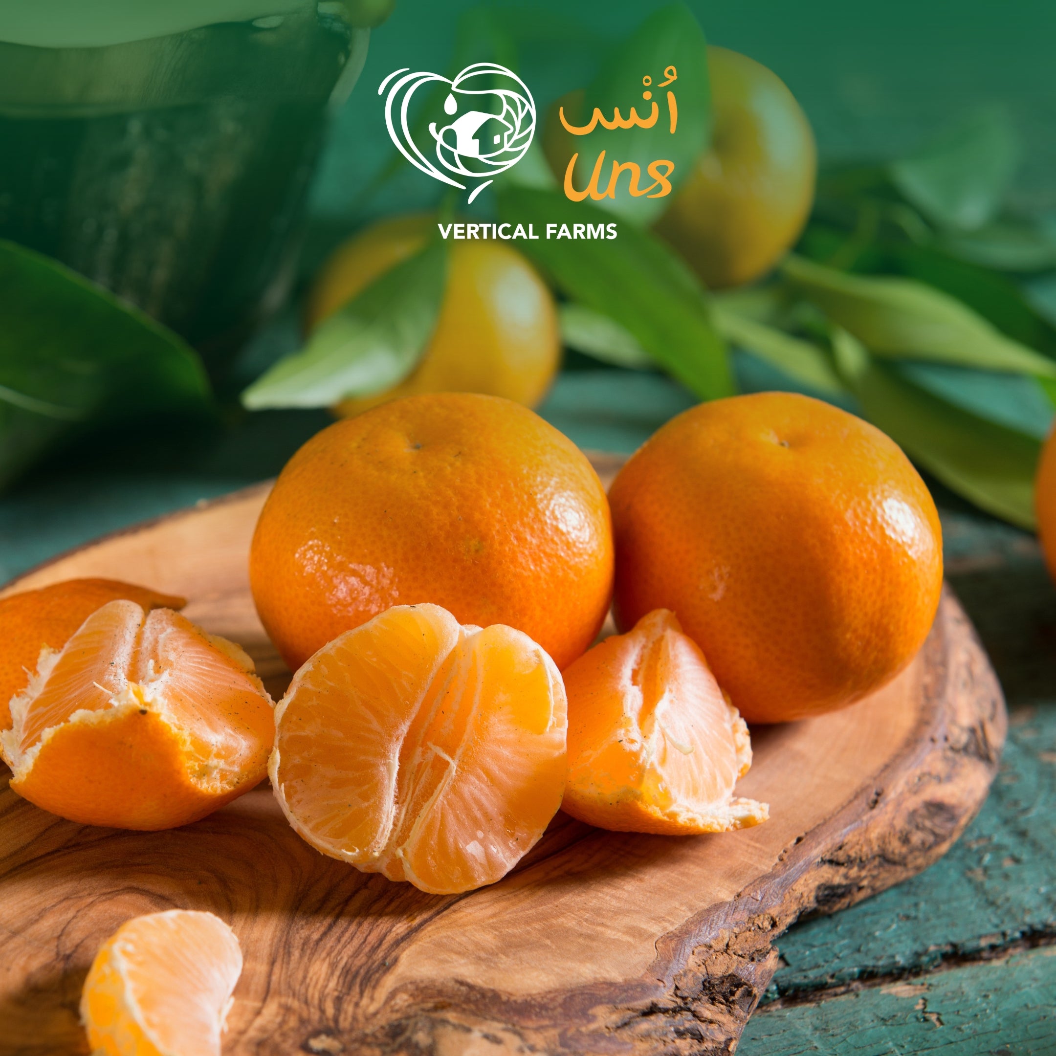 Mandarin South Africa
