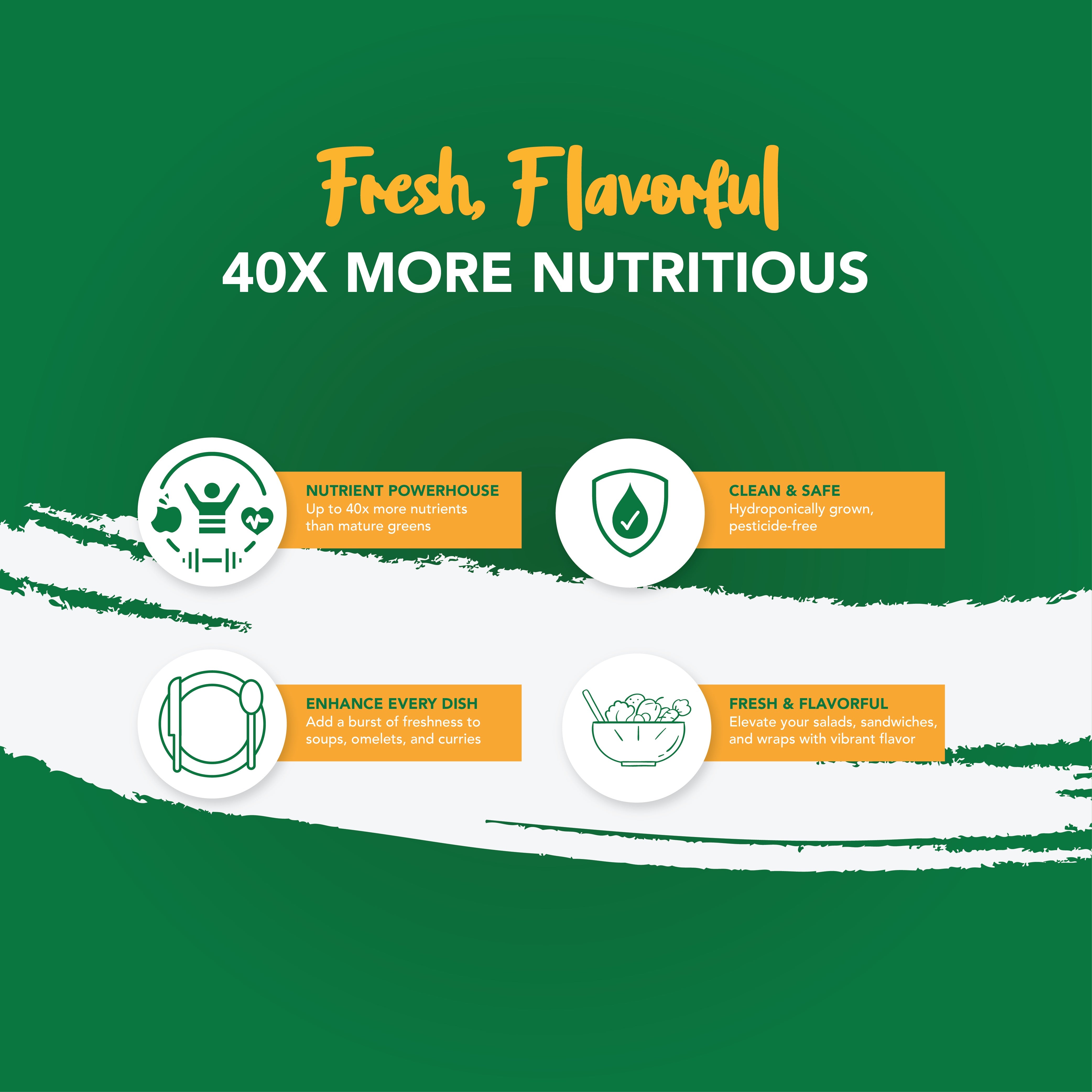 Usn Red Rubin Basil 15g Clear Pet Box