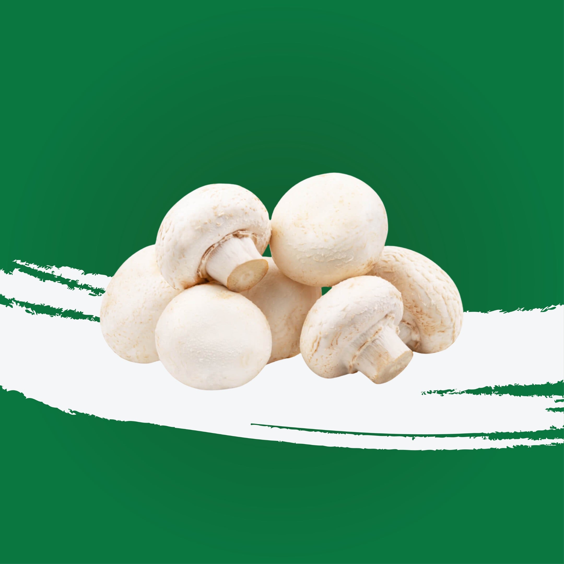 Mushroom Button White UAE