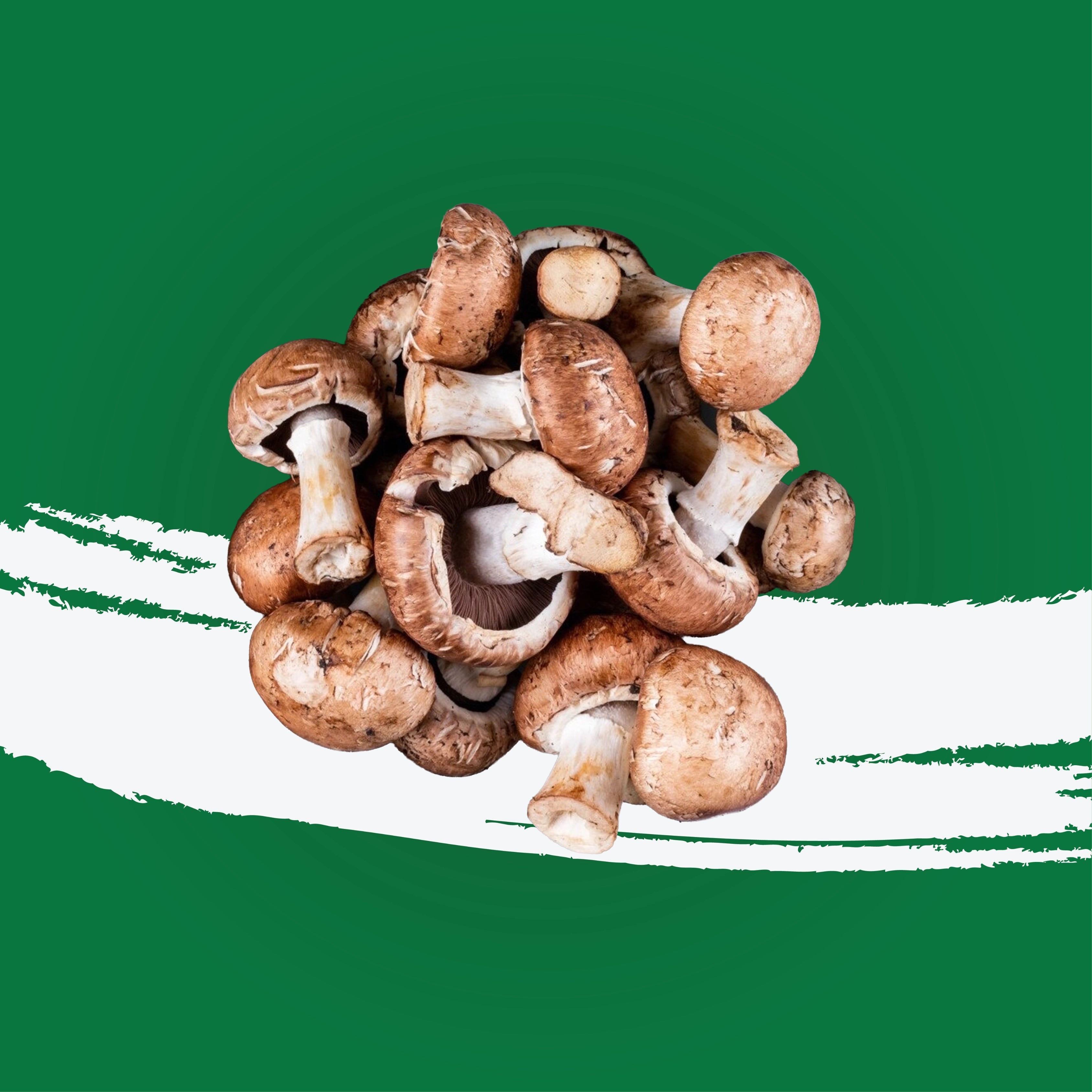 Pesticide-free shiitake mushrooms for Asian cooking