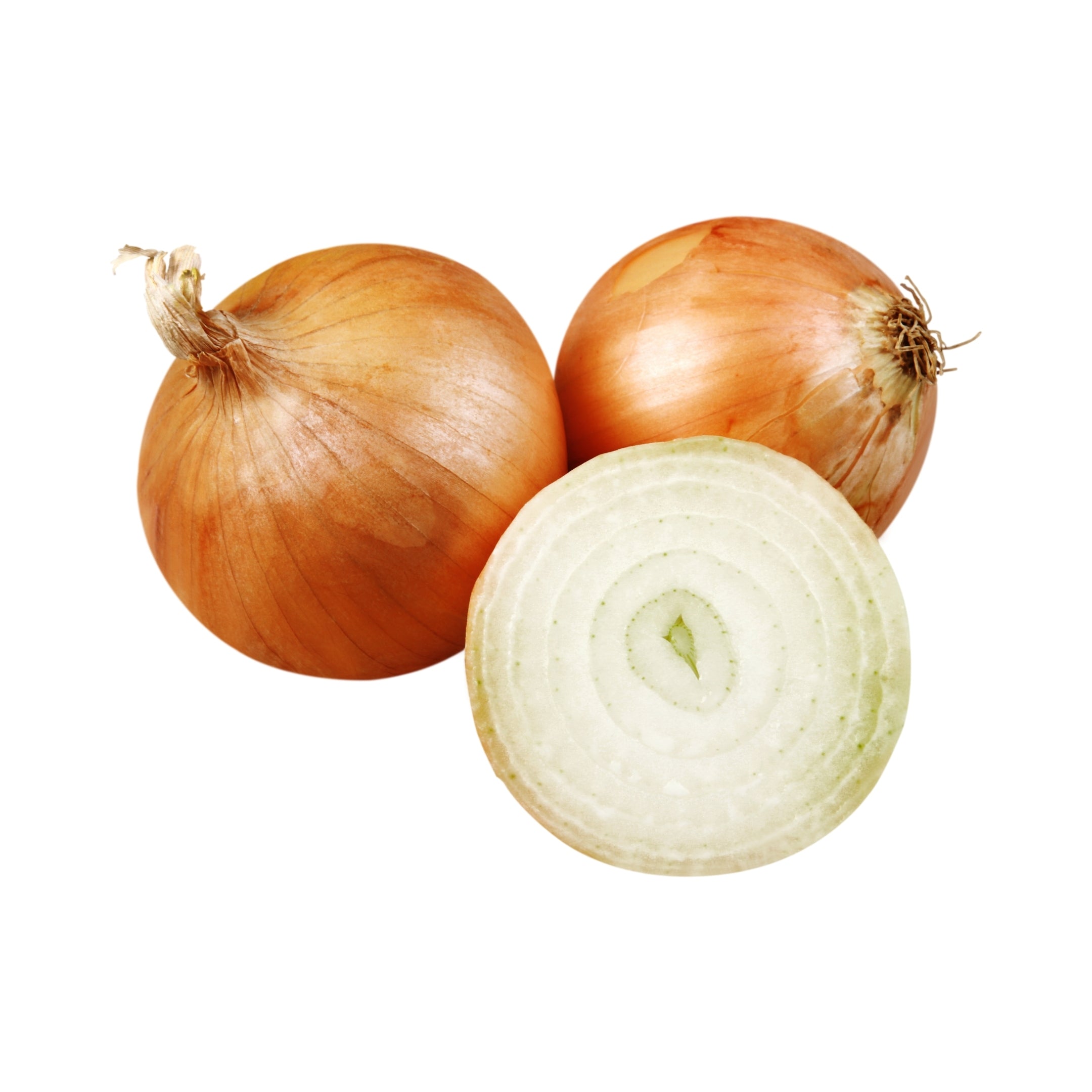 Onion Brown ME