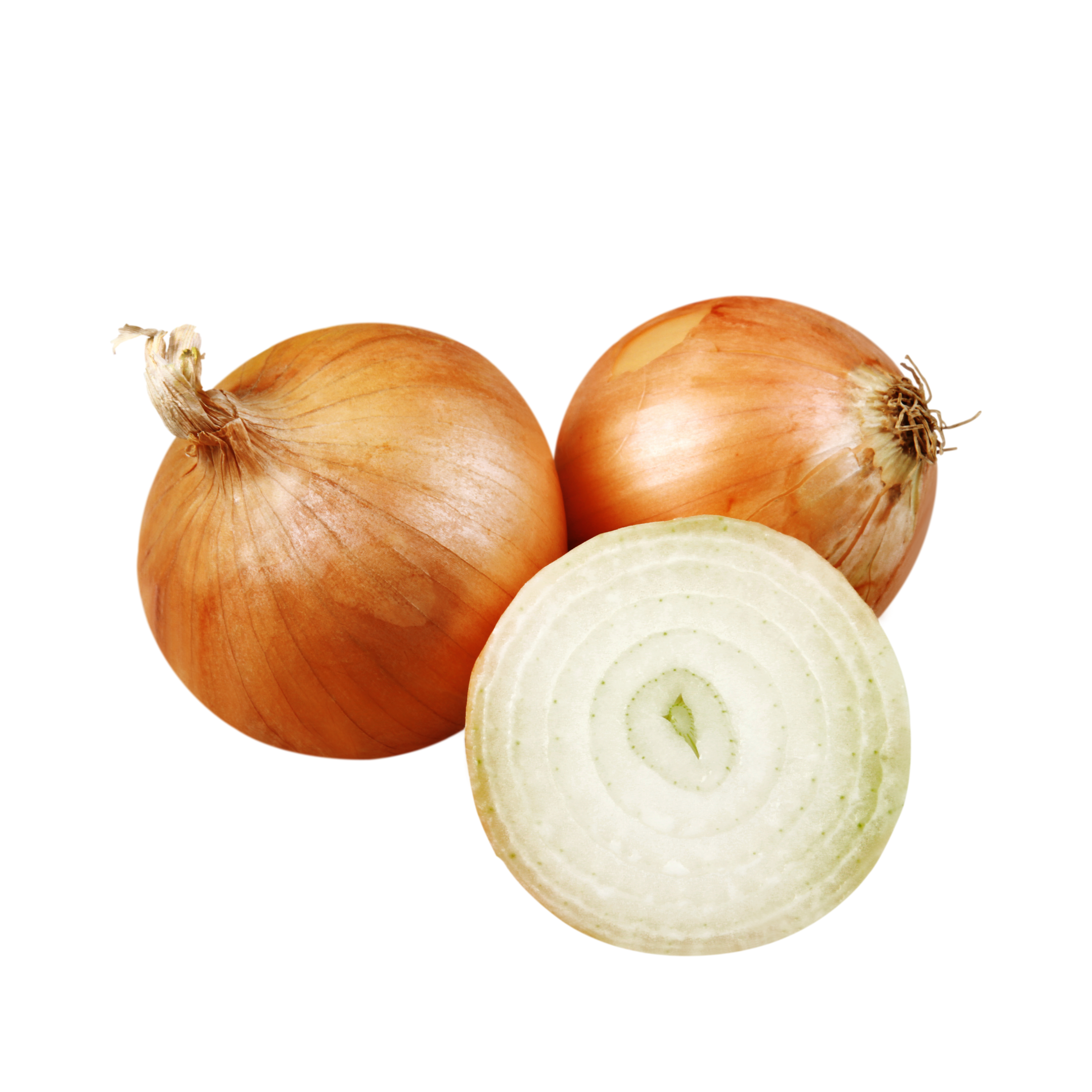 Onion Brown Spain