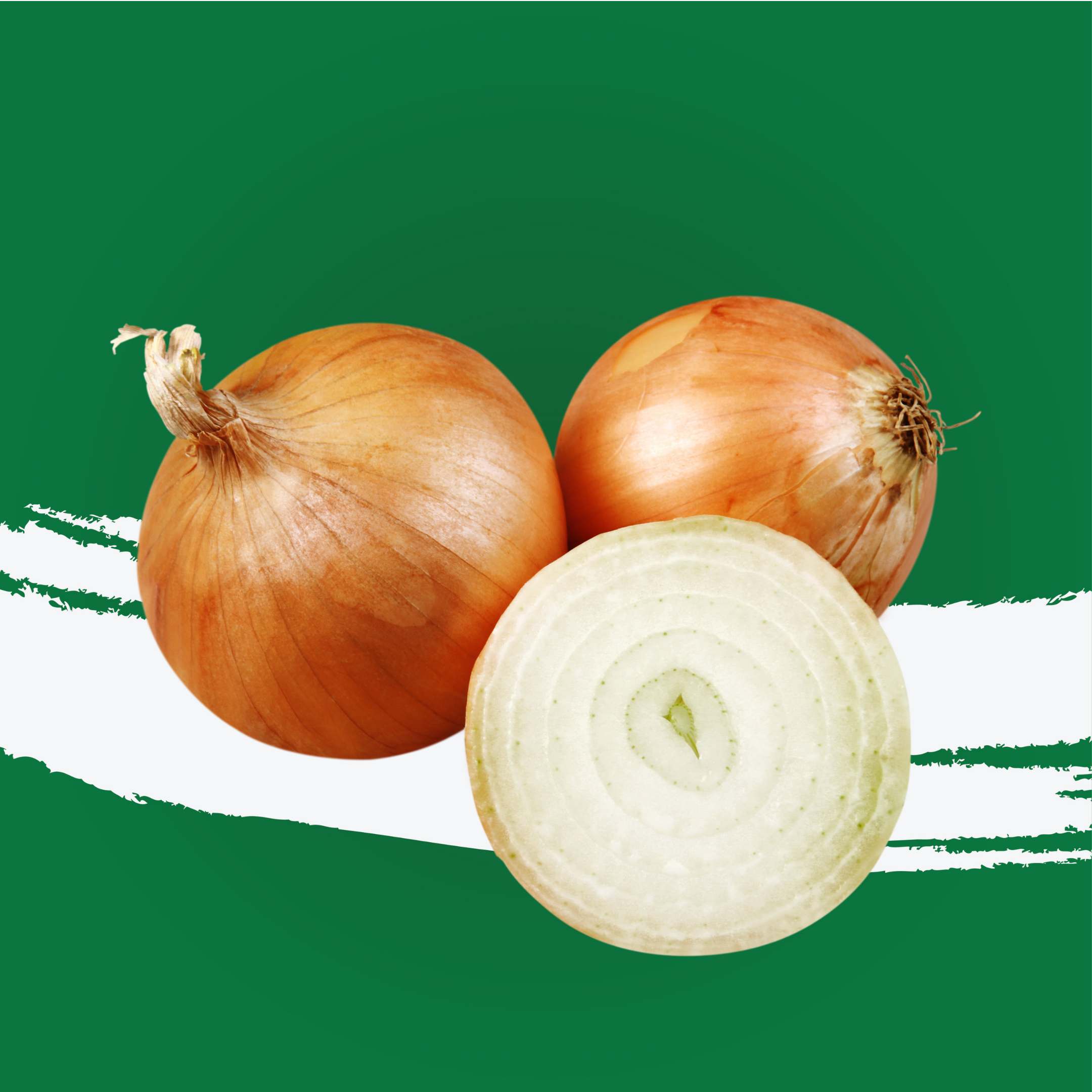 Onion Brown Spain