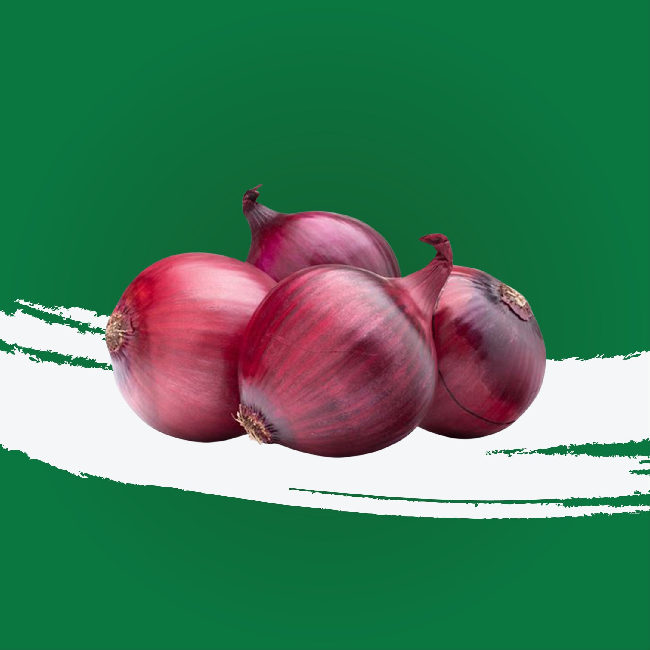 Onion Red India