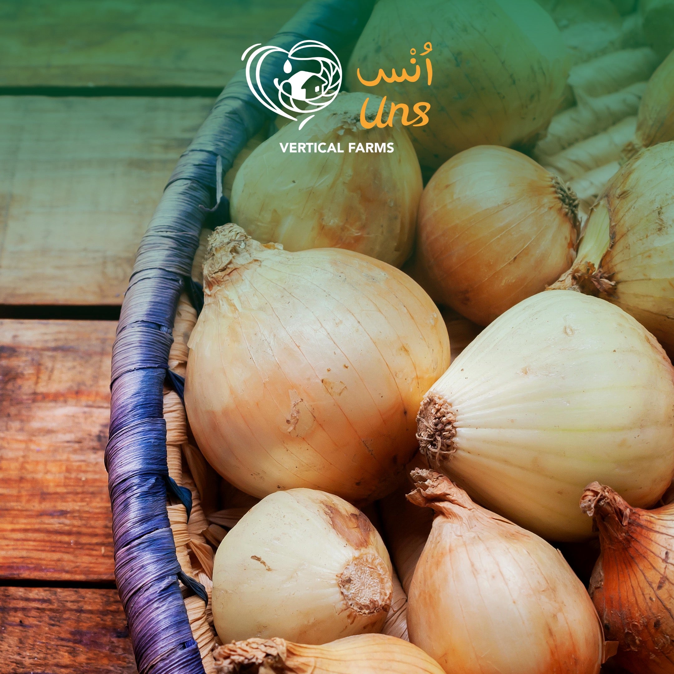 Onion White Me