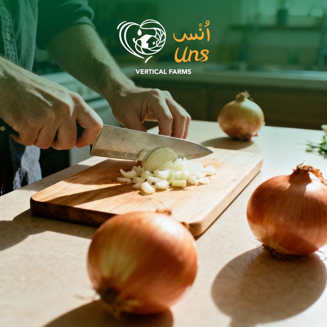 Firm brown onions for everyday cooking