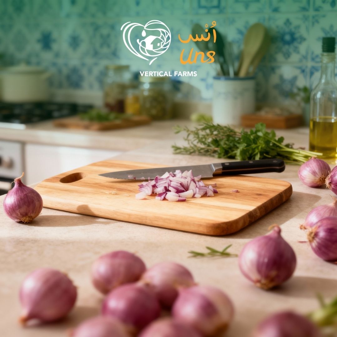 Onion Shallots India