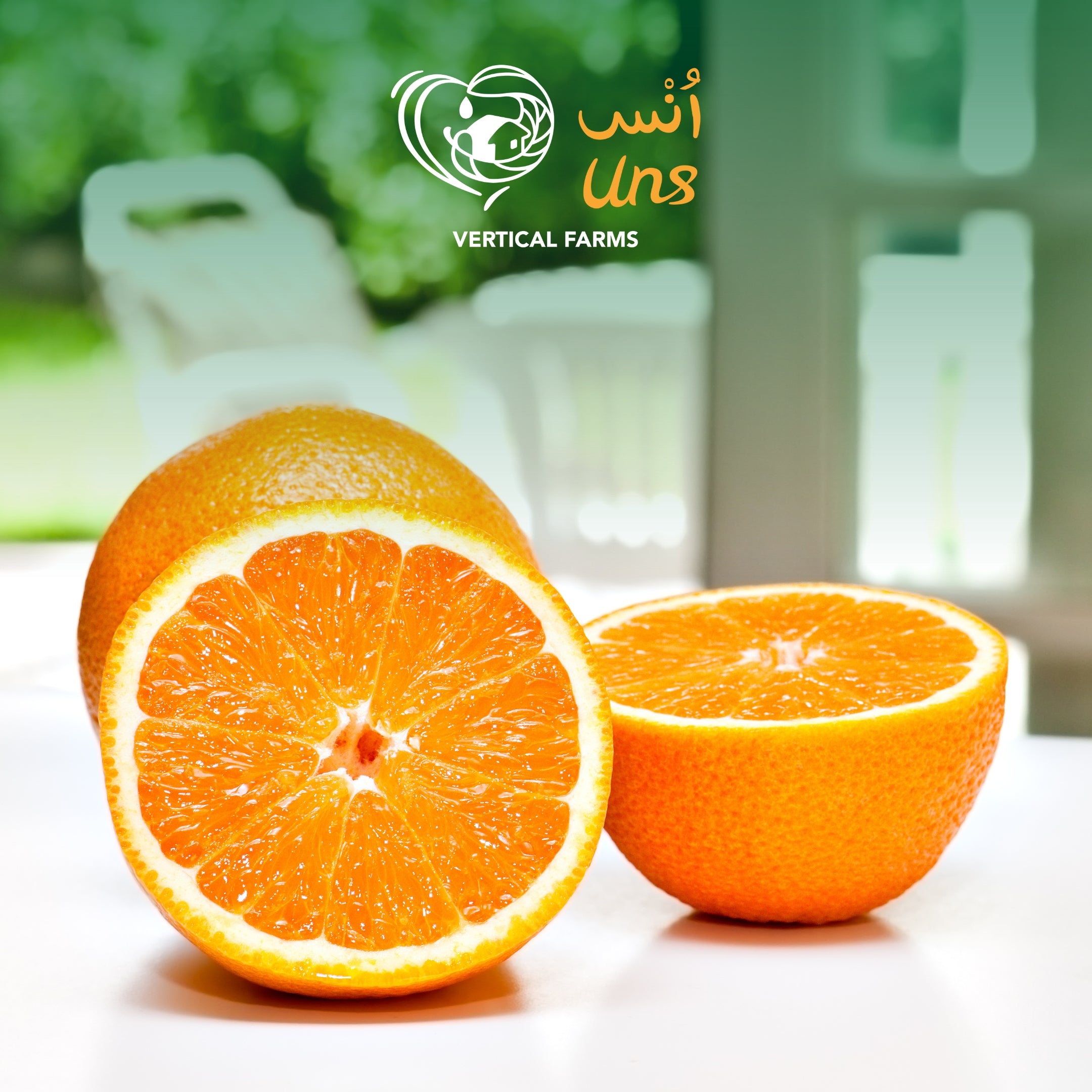 Orange Valencia Egypt