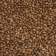 Organic Premium Italian Borlotti Lamon Beans 100g