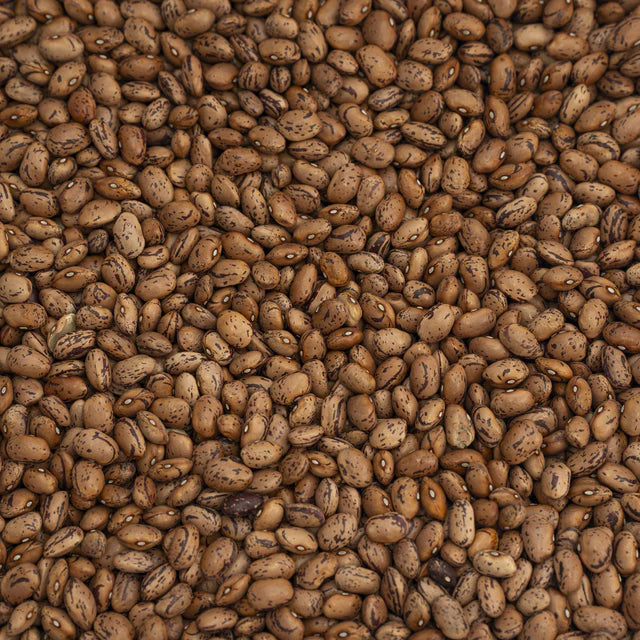Organic Premium Italian Borlotti Lamon Beans 100g