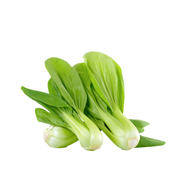 Pakchoi Uae