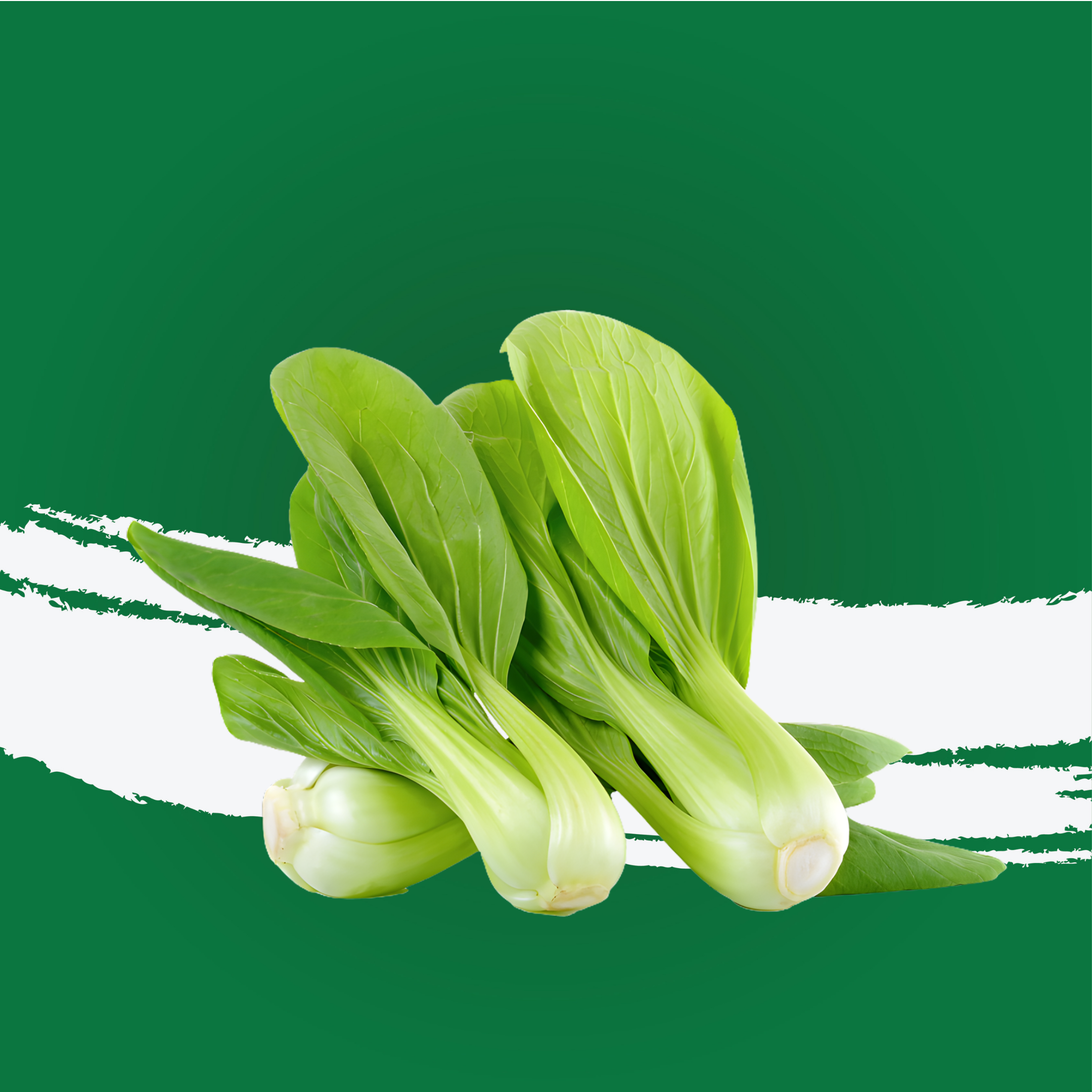 Pakchoi Uae