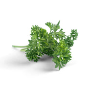 Parsley ME