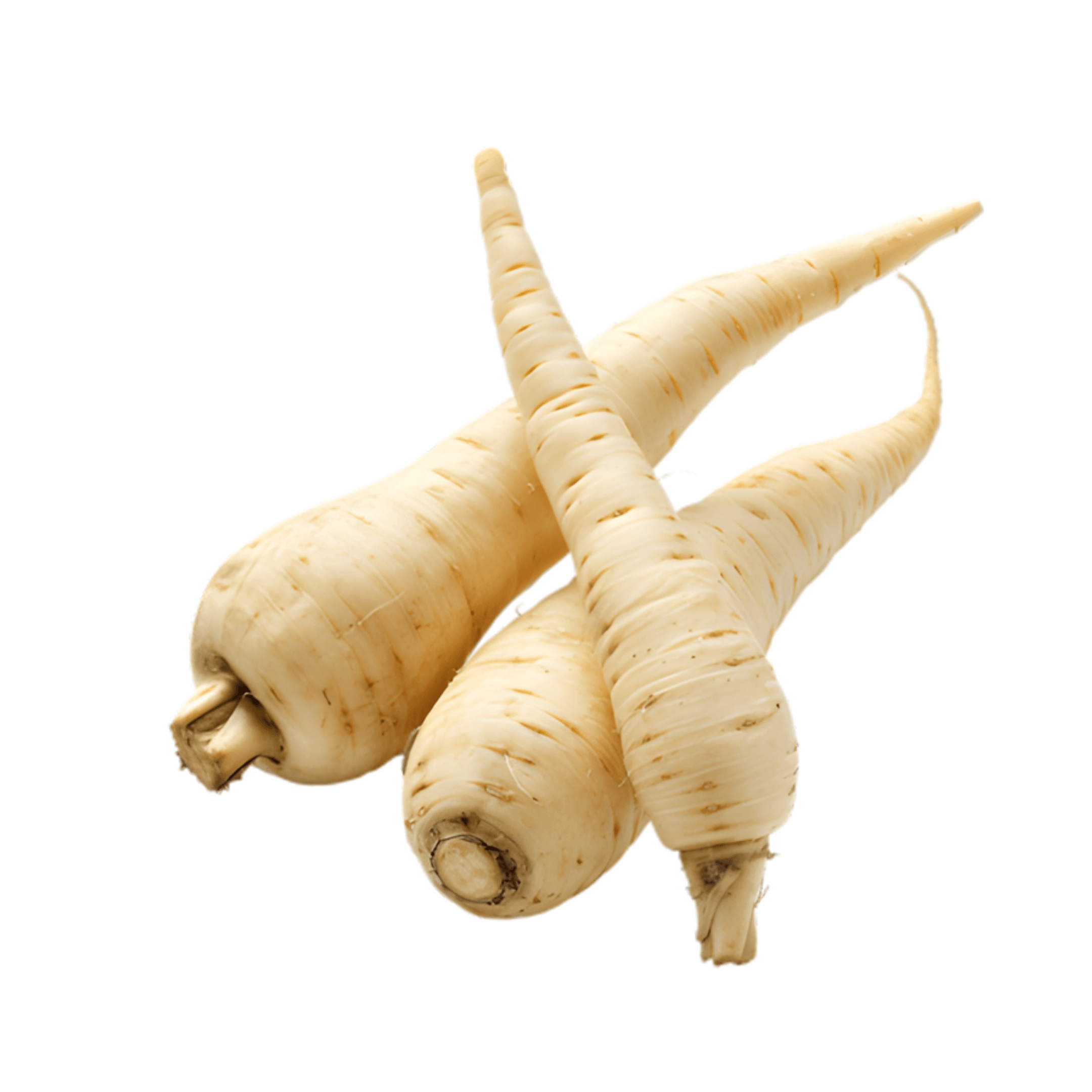 جزر أبيض هولندي