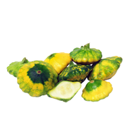 Patty Pan Yellow South Africa