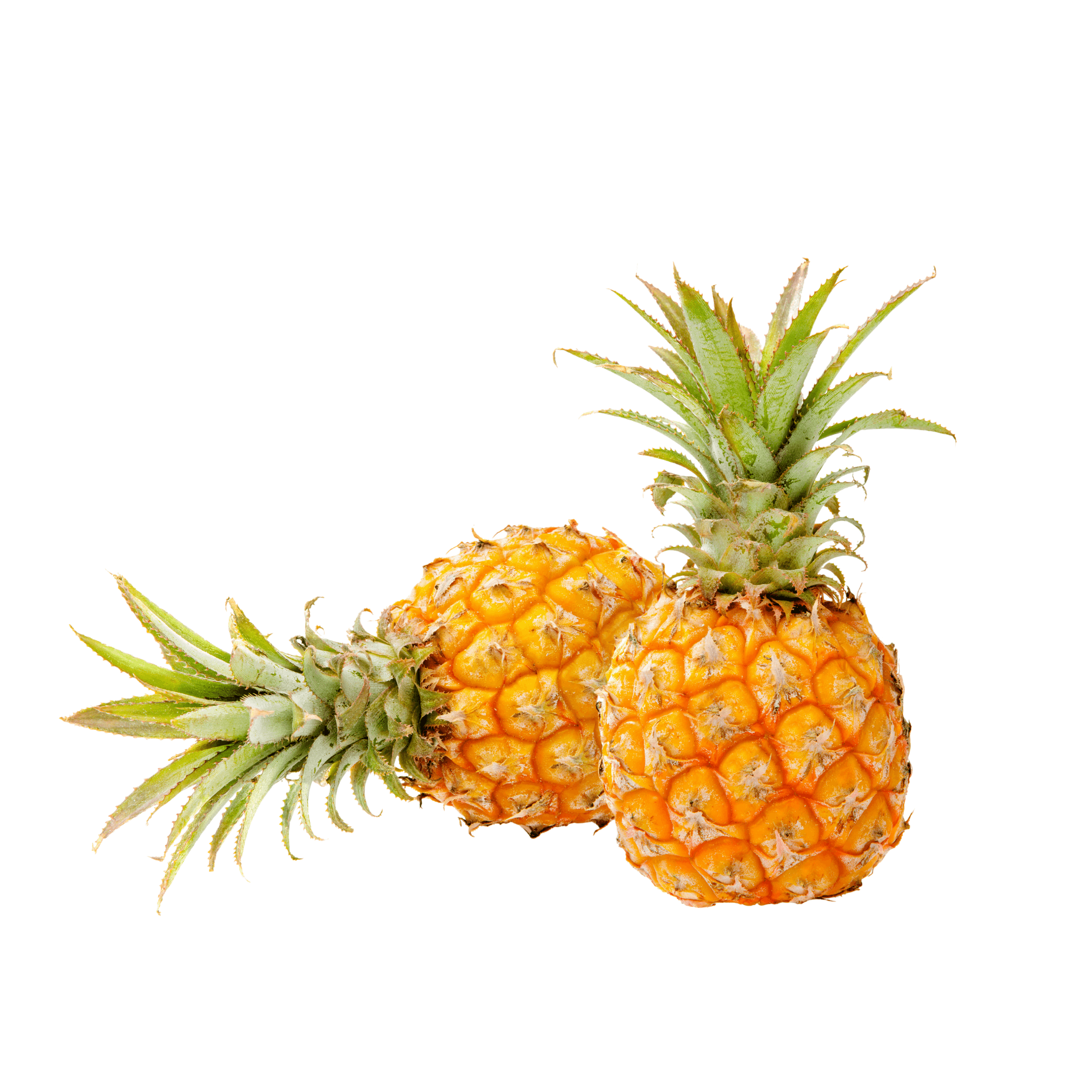Fresh Pineapple Baby South Africa, sweet and tropical fruit, perfect for desserts and smoothies.