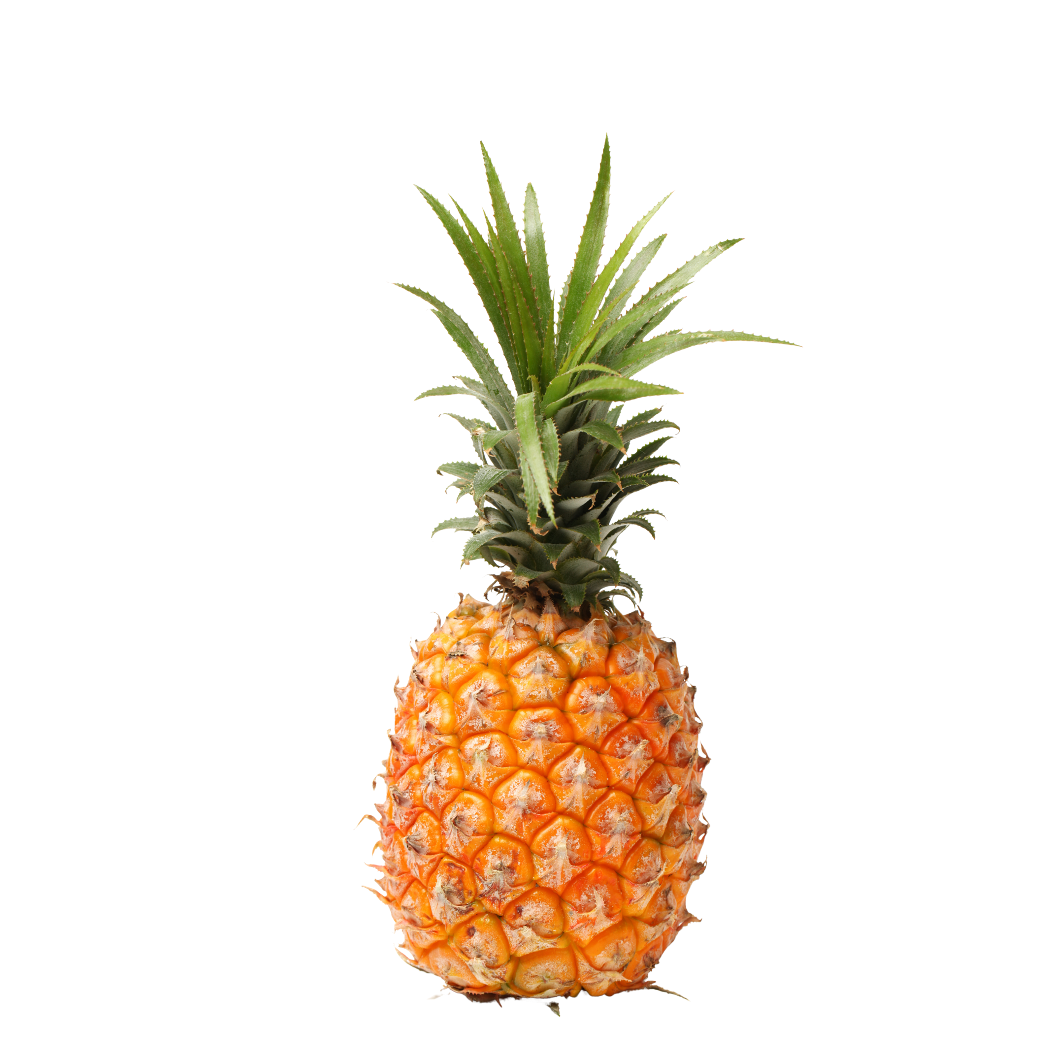 Pineapple Honey Philippines