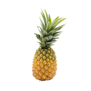 Pineapple India