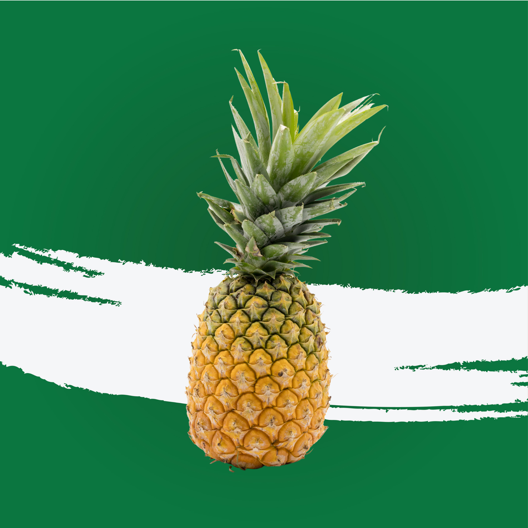 Pineapple India