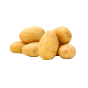 Potato Agria Holland