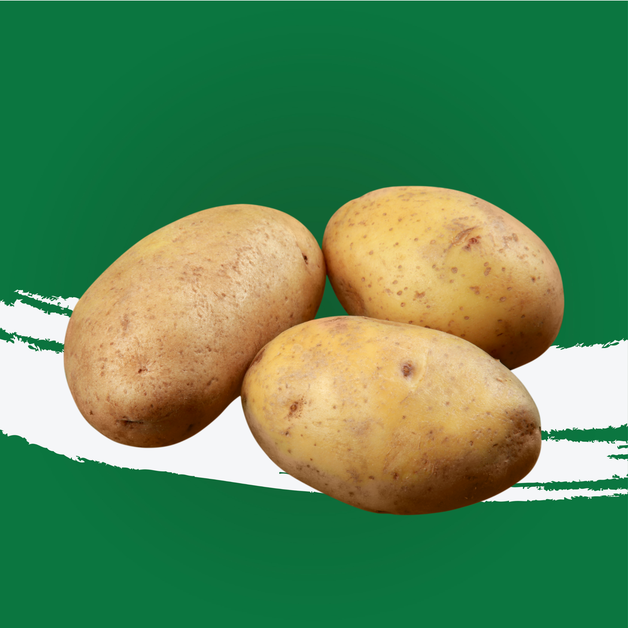 Potato Idaho Usa