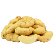 Potato La Ratte Holland