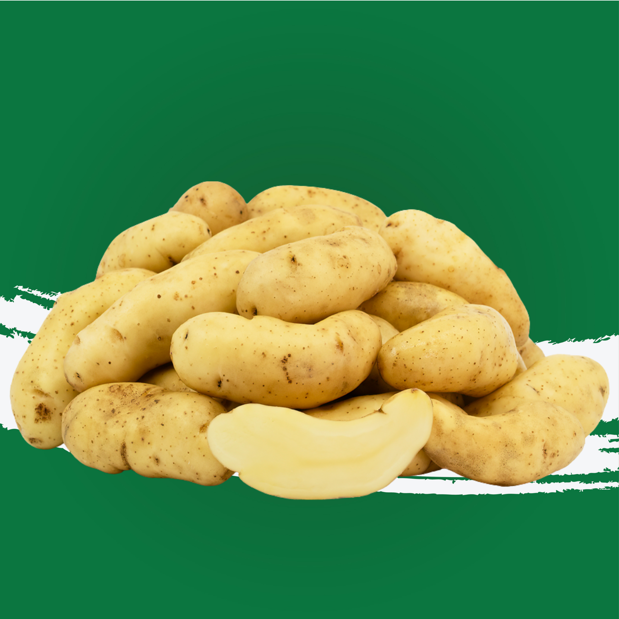 Potato La Ratte Holland