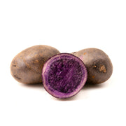 Potato Purple Holland