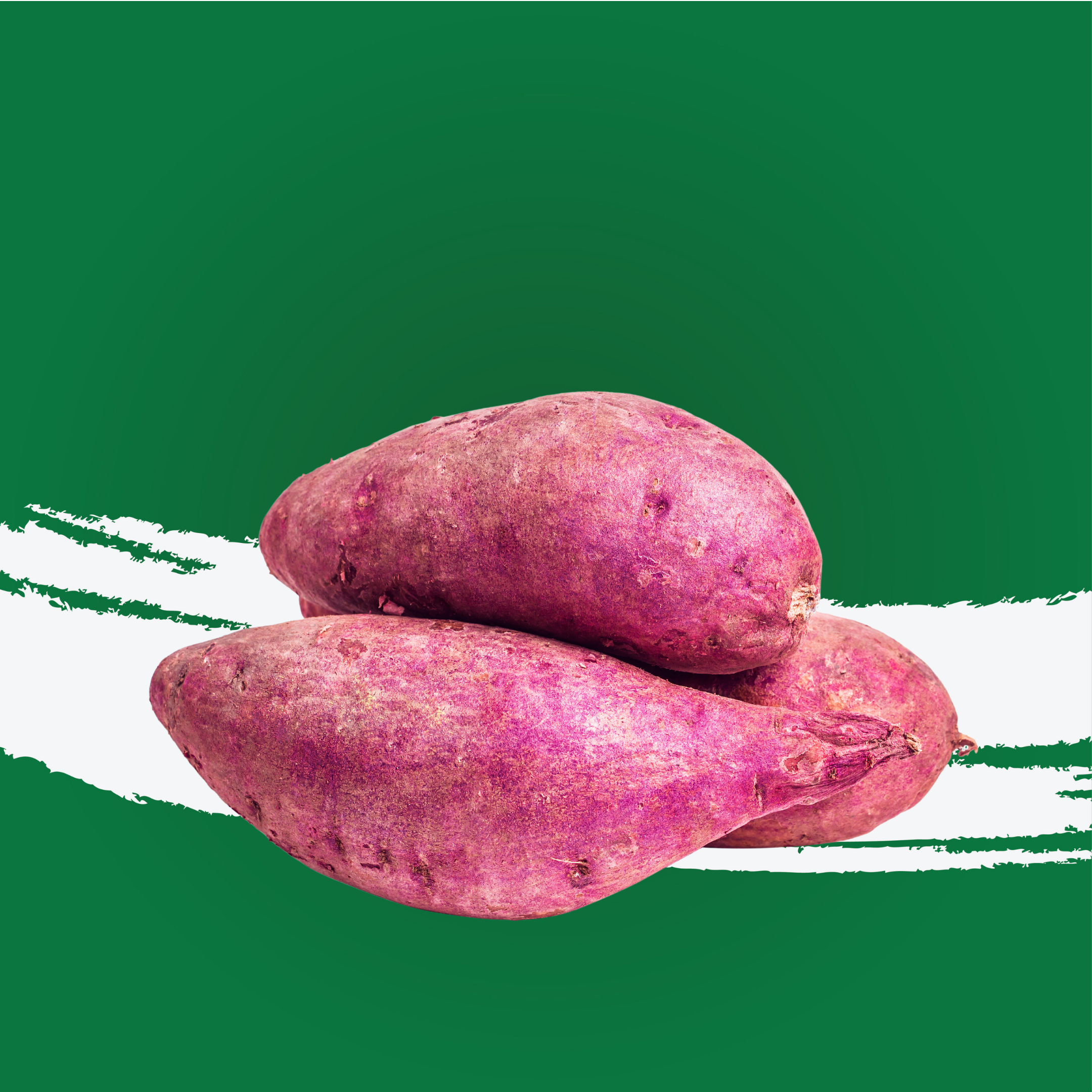 Potato Sweet South Africa