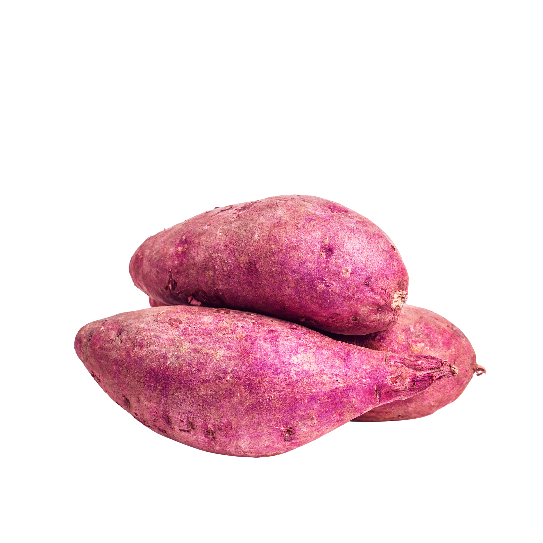 Potato Sweet South Africa