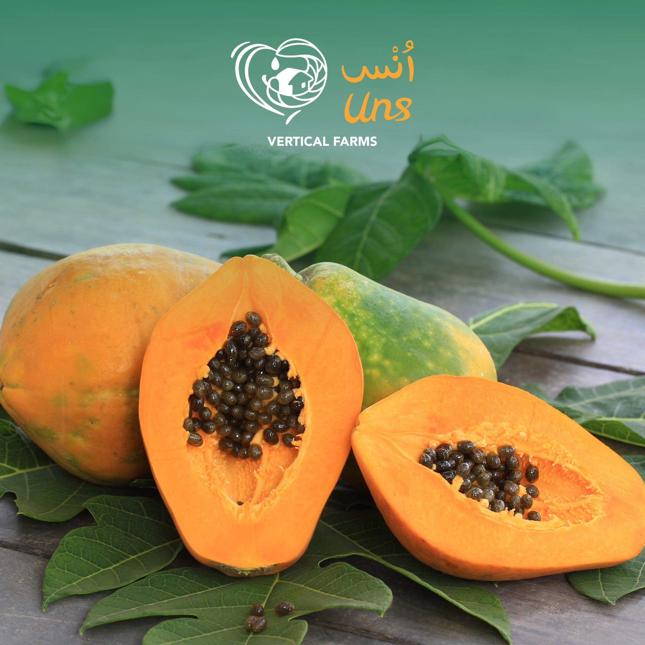 Papaya India