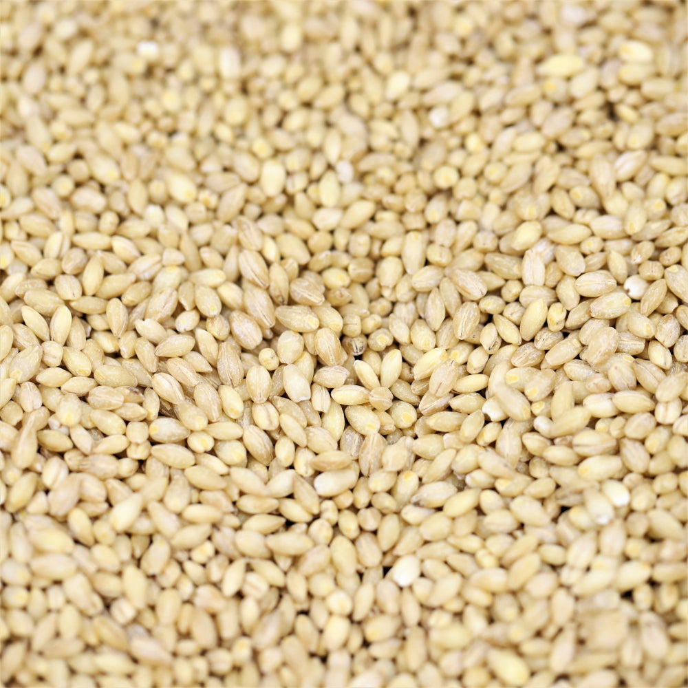 Organic Barley 100g