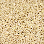 Organic Barley 100g