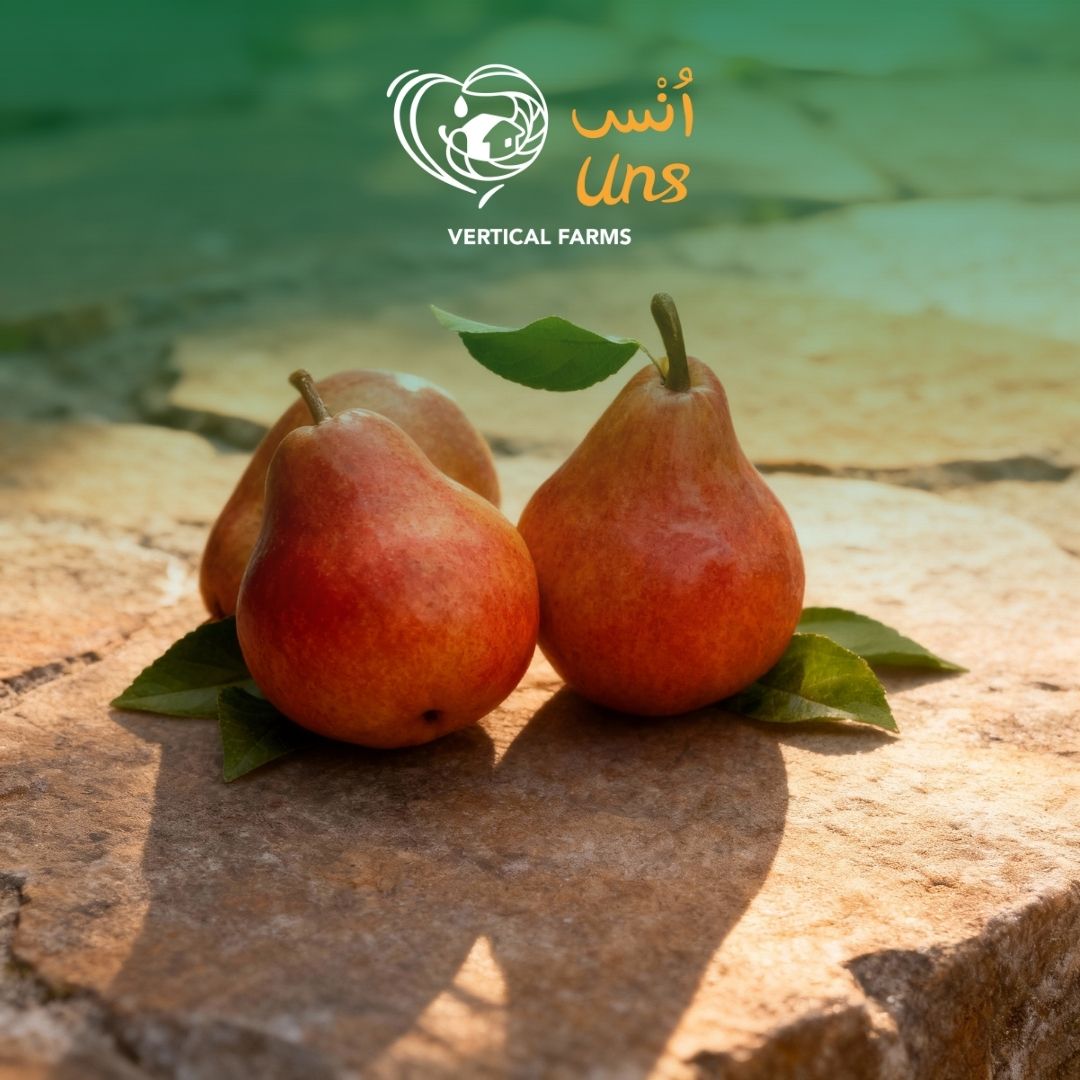 Pears Forelle South Africa