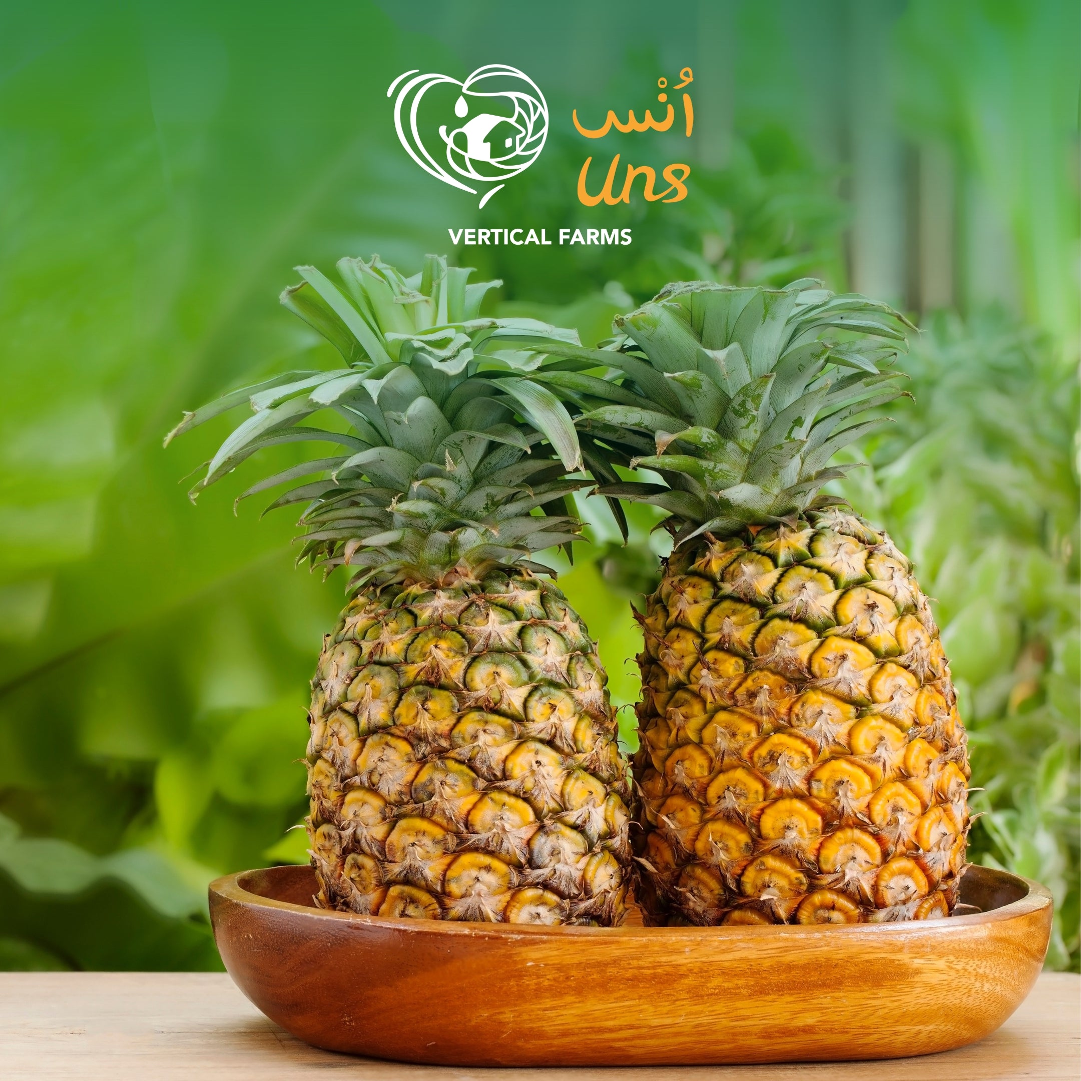 Pineapple Philippines