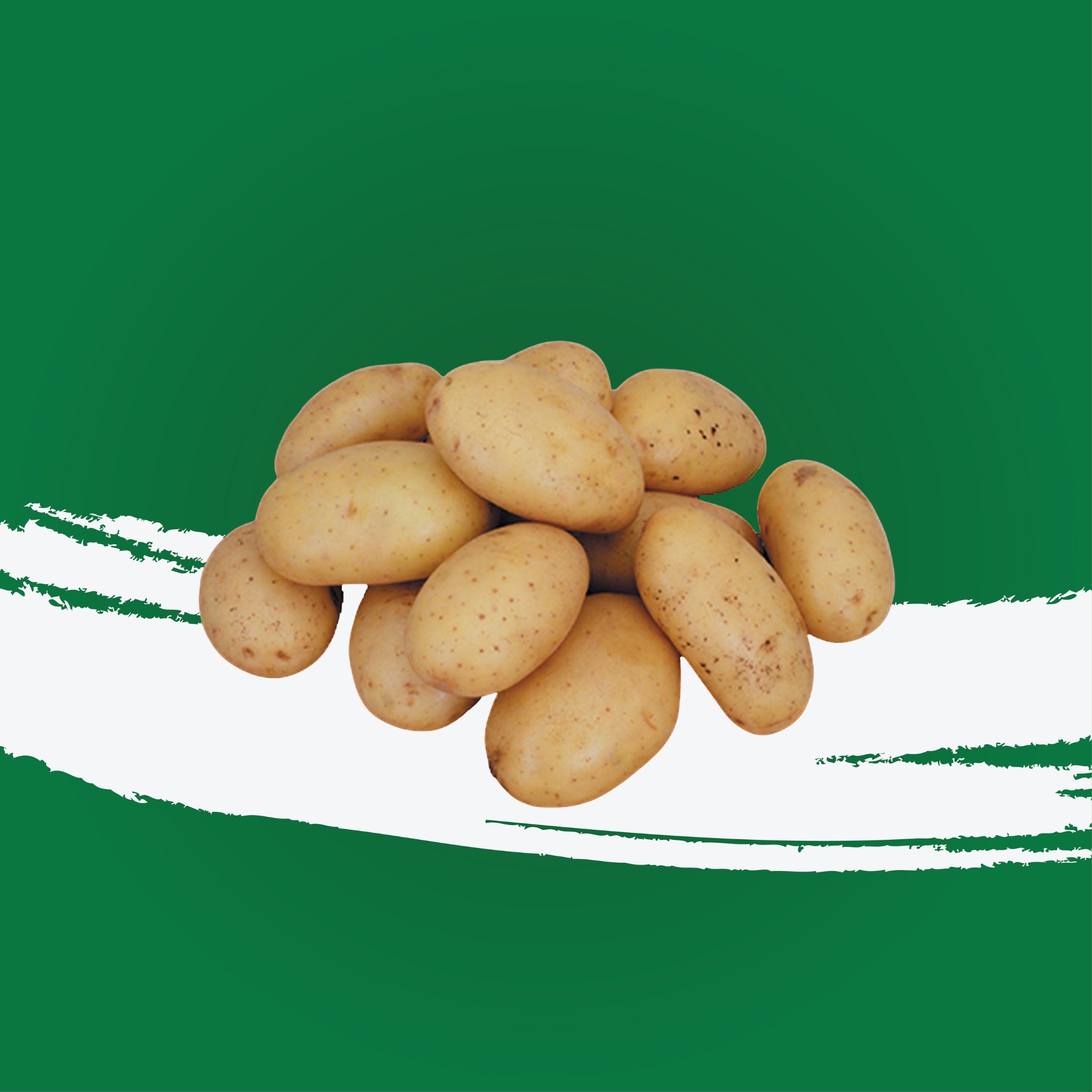 Potato ME