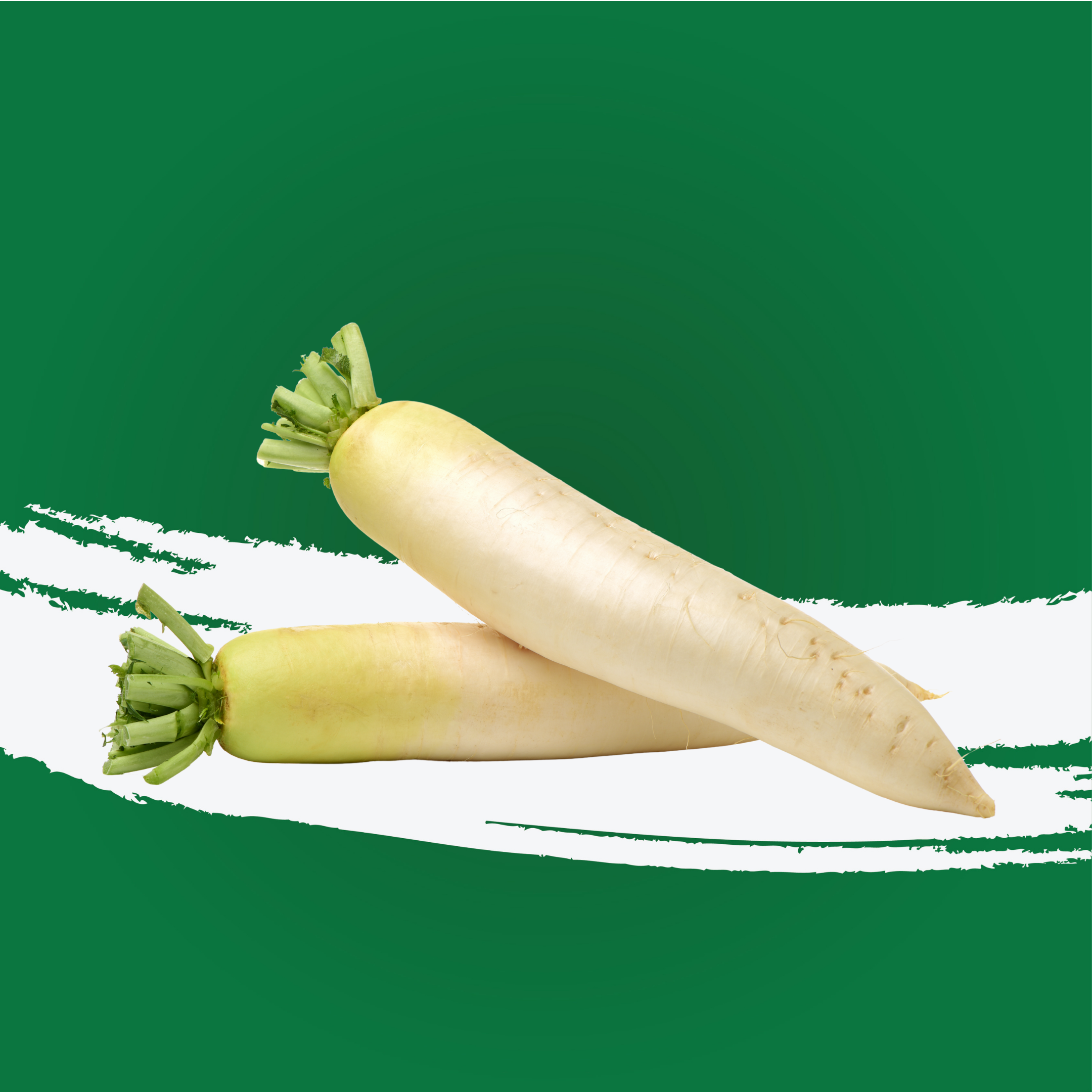 Radish White Me