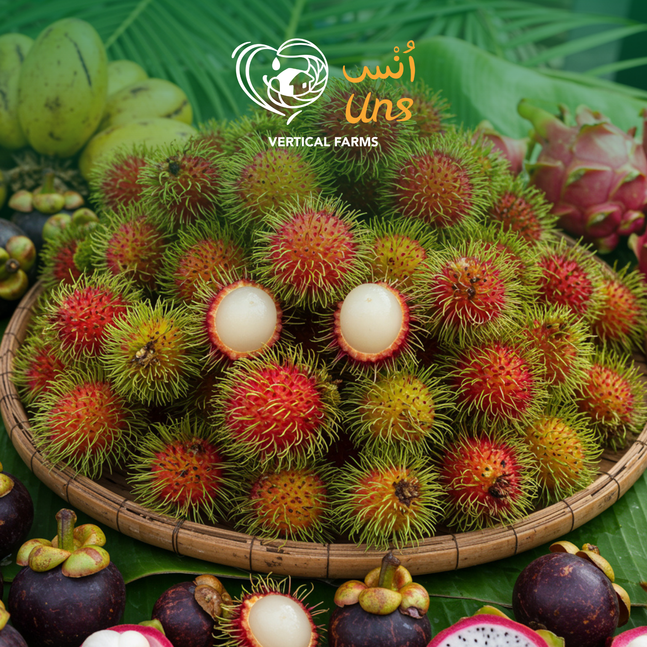 Rambutan Thailand