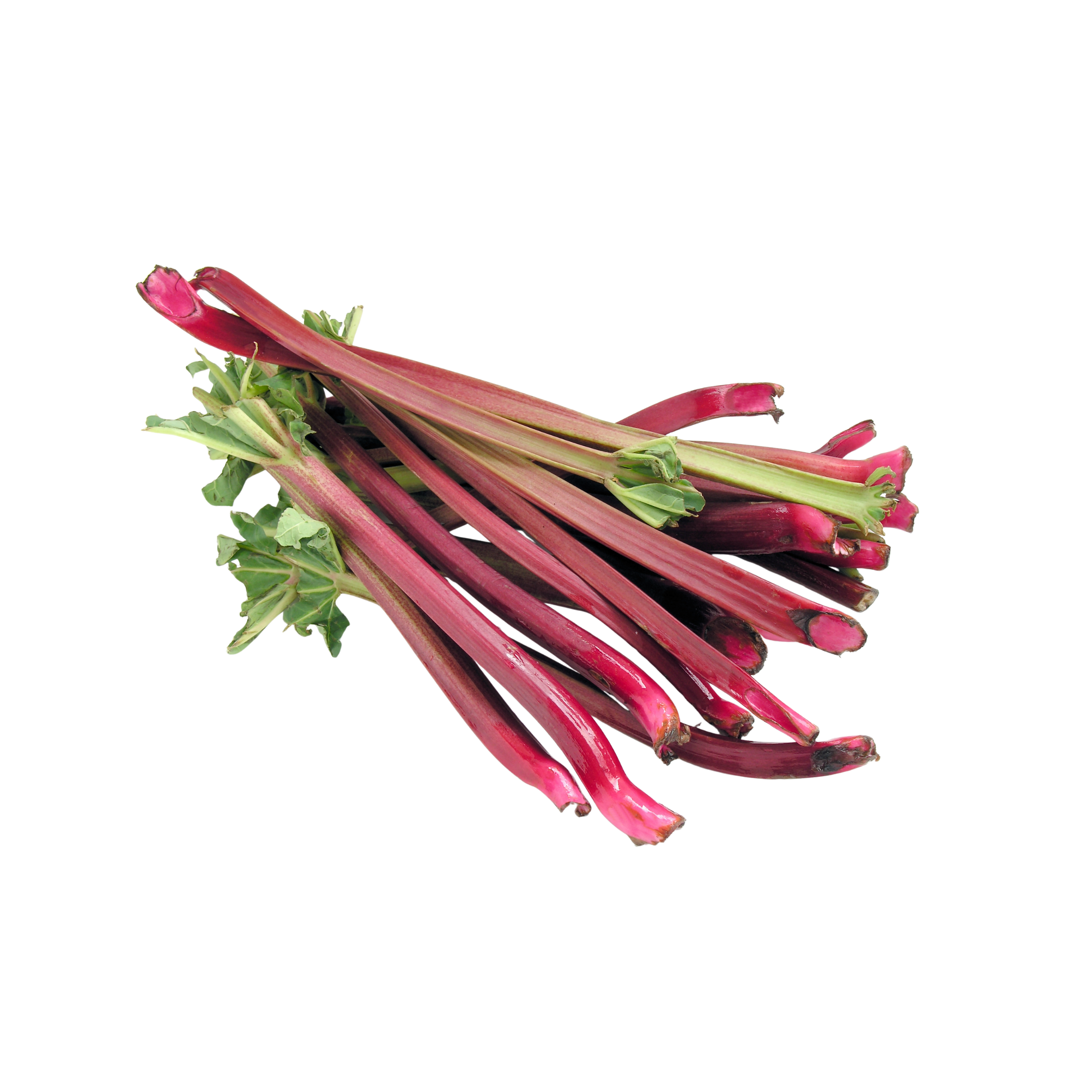 Rhubarb Holland