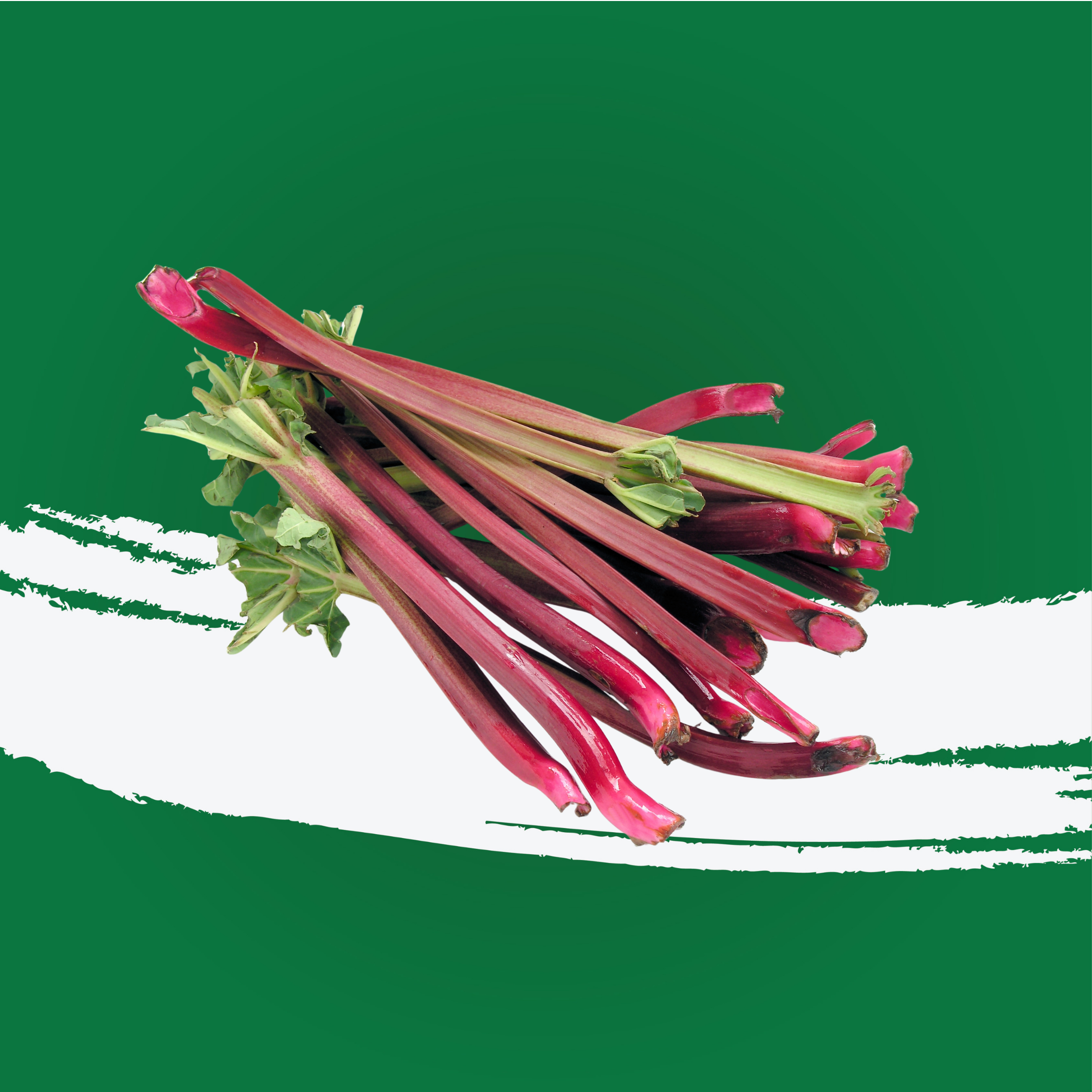 Rhubarb Holland