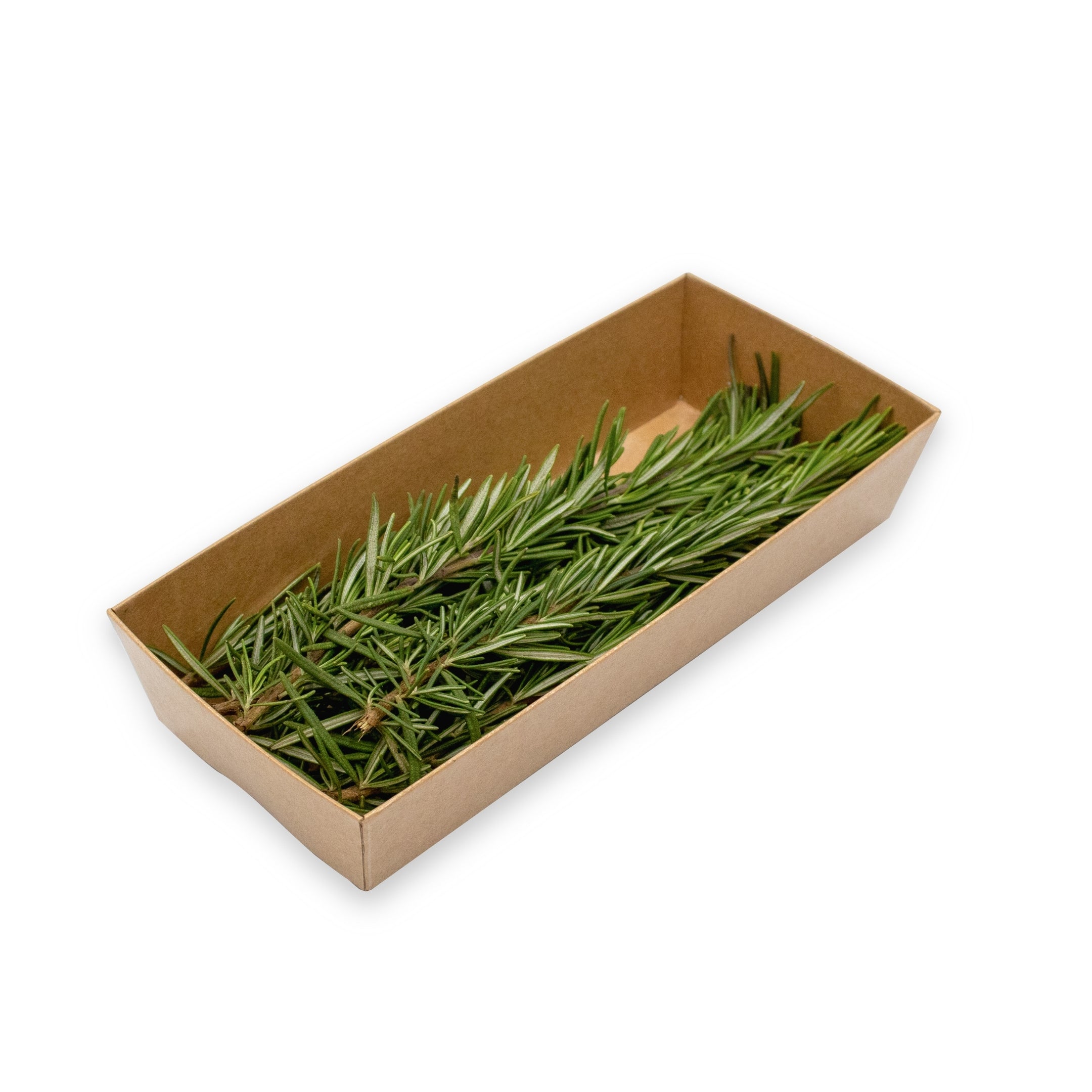 Rosemary UAE