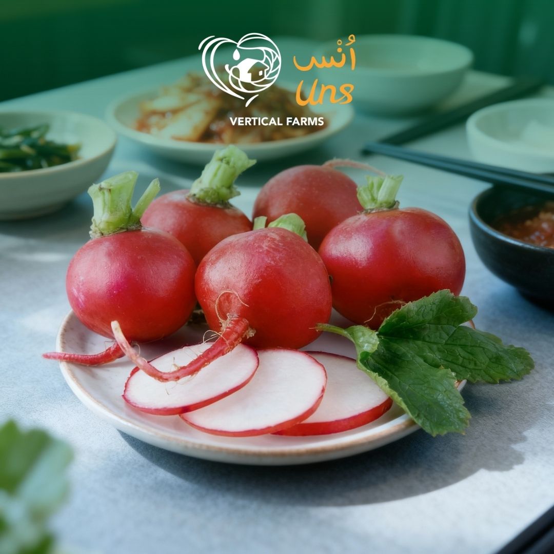 Radish Red UAE