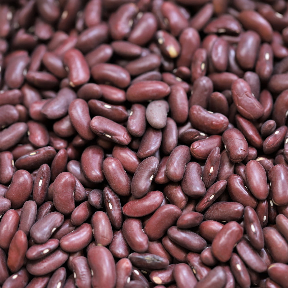 Organic Red Kidney Beans 100g